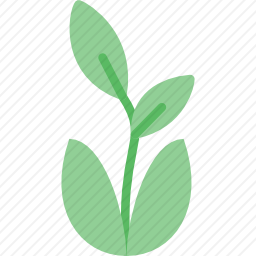 植物