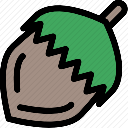 坚果
