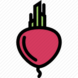 <em>甜菜</em>