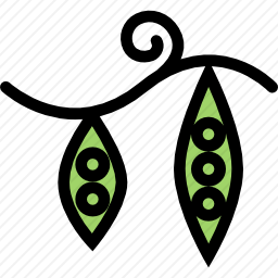 豌豆