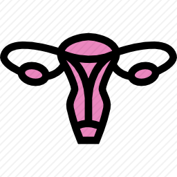 子宫