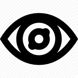 <em>眼科</em>
