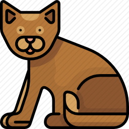 猫