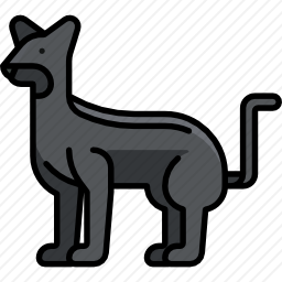 <em>黑豹</em>