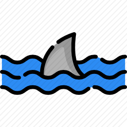 鲨鱼