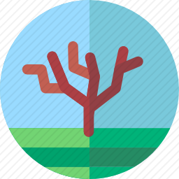 <em>橄榄</em>