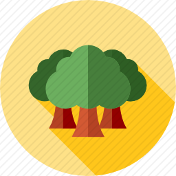<em>森林</em>