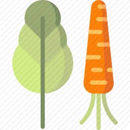 蔬菜