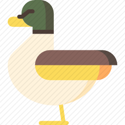鸭子
