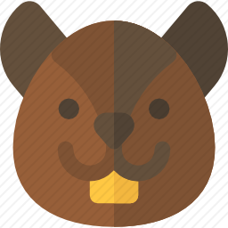 松鼠