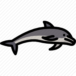 海豚