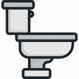 <em>马桶</em>