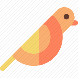 鸟