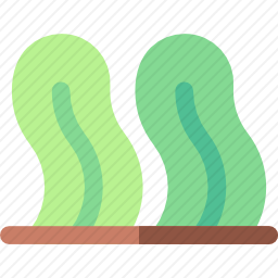 海藻