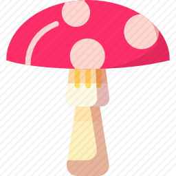 蘑菇