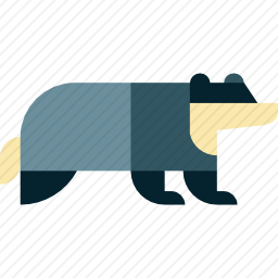 獾