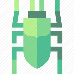 甲虫