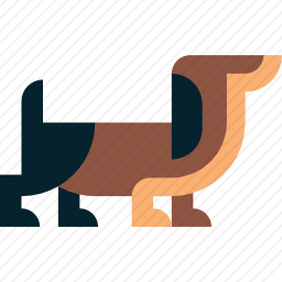 狗