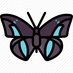 <em>蝴蝶</em>