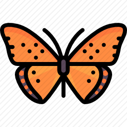 <em>蝴蝶</em>