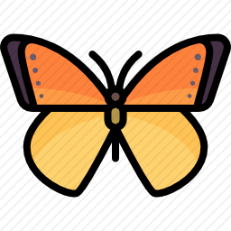 <em>蝴蝶</em>