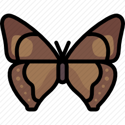 <em>蝴蝶</em>