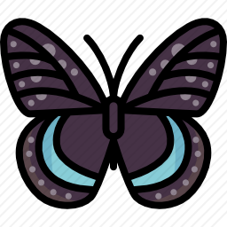 <em>蝴蝶</em>