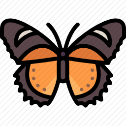 <em>蝴蝶</em>