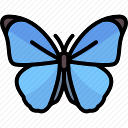 <em>蝴蝶</em>