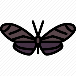 <em>蝴蝶</em>