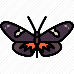 <em>蝴蝶</em>