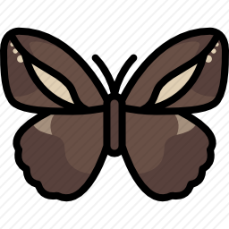 <em>蝴蝶</em>