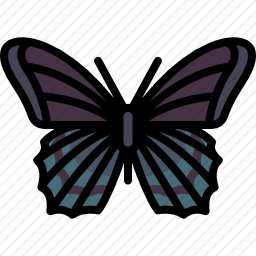 <em>蝴蝶</em>