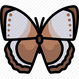 <em>蝴蝶</em>