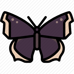 <em>蝴蝶</em>