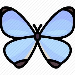 <em>蝴蝶</em>