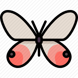 <em>蝴蝶</em>