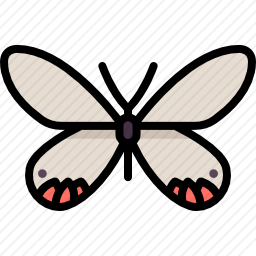 <em>蝴蝶</em>