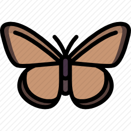 <em>蝴蝶</em>