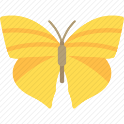 蝴蝶