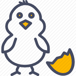 鸡