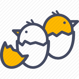 鸡
