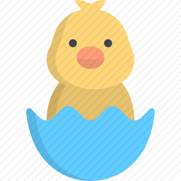 鸡