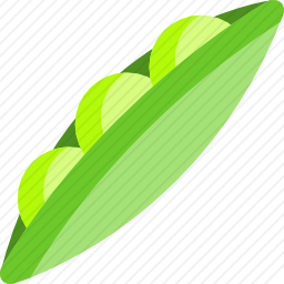 豆