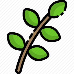 树枝