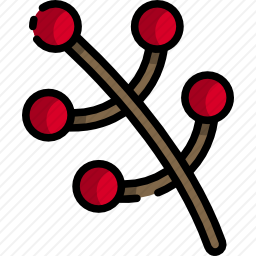 树枝