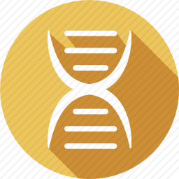 DNA