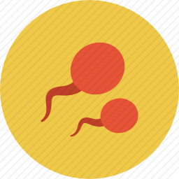 精子