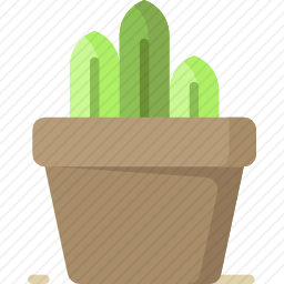 植物