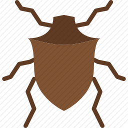 甲虫